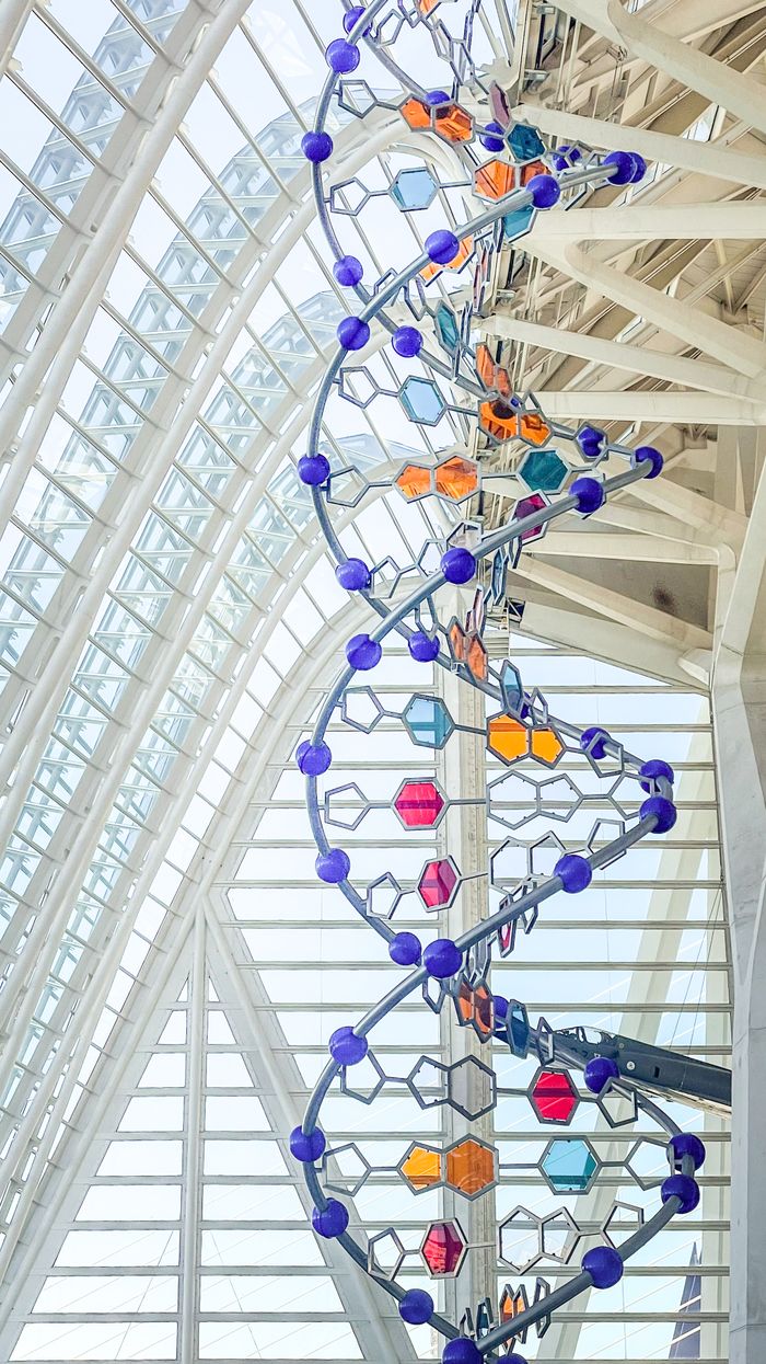 The Art of Drawing Readers In: Your attractive post title goes here Colorful DNA sculpture inside Valencia's science complex, showcasing modern architecture and art.